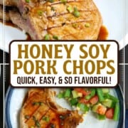 pork chops with a thin brown soy sauce glaze.