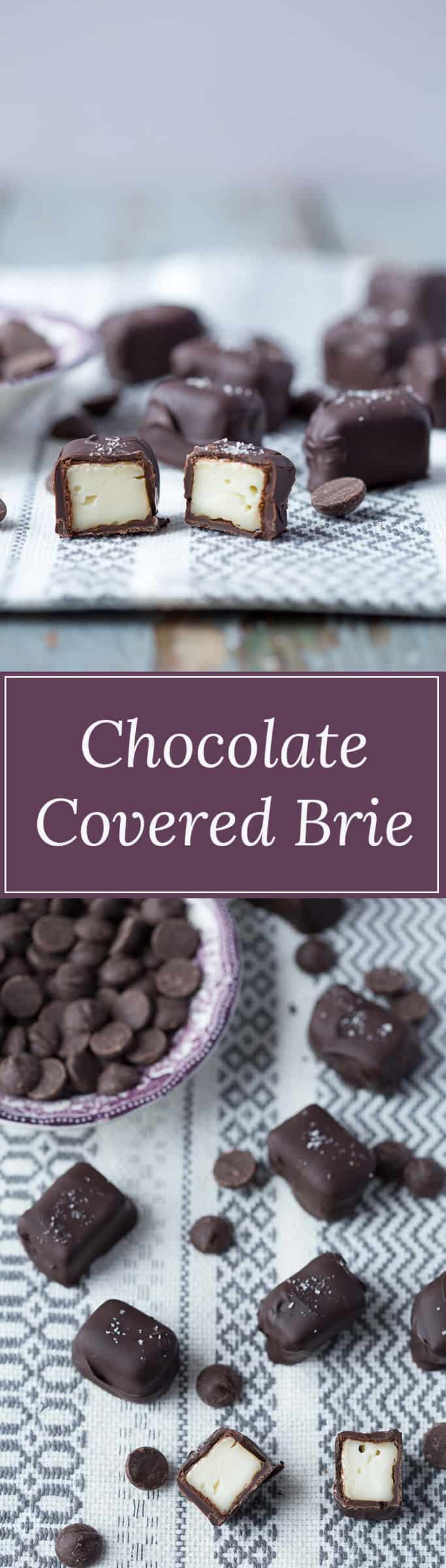 Chocolate Covered Brie