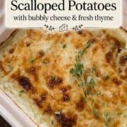 cheesy casserole with layers of potatoes and a cheesy top, topped with fresh thyme.