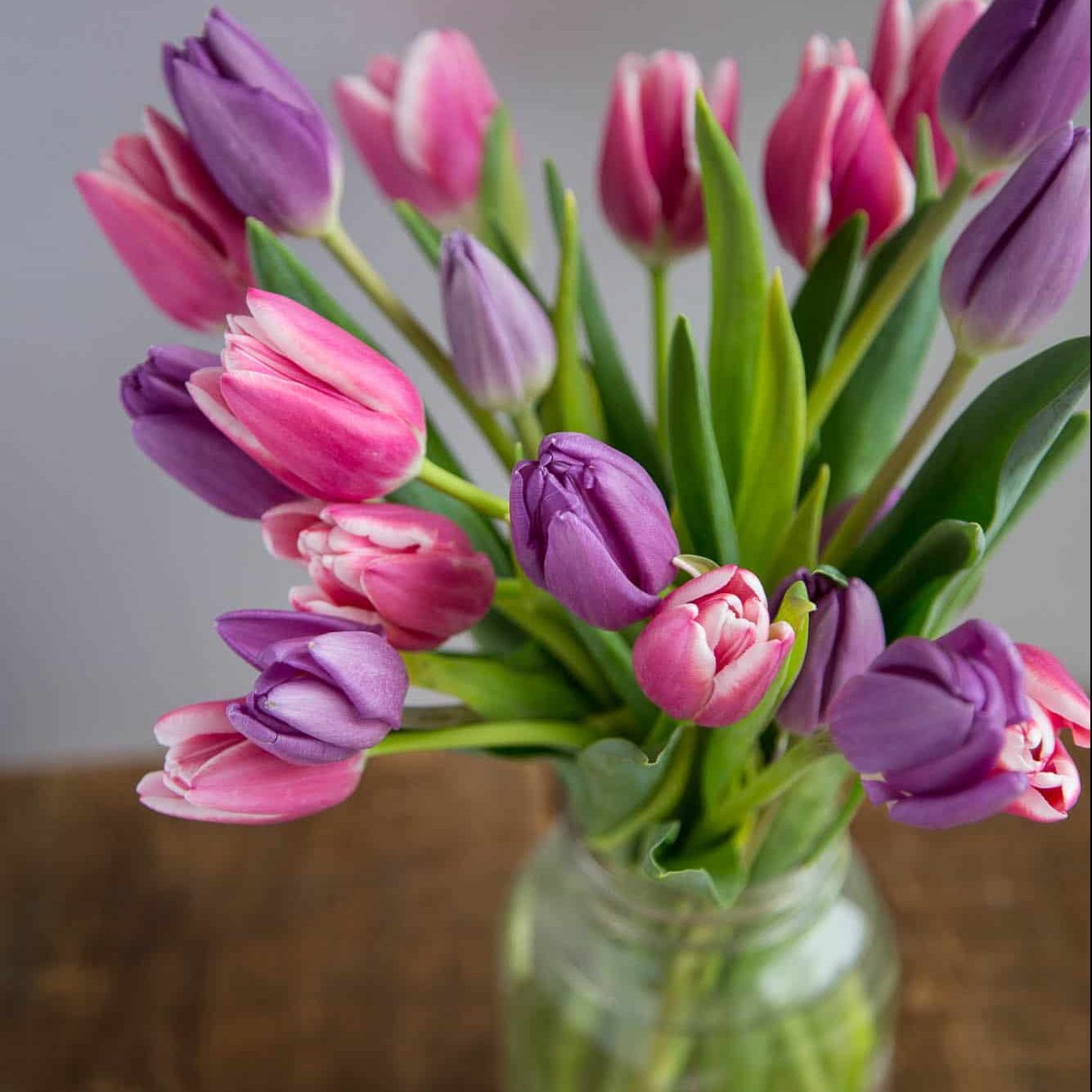 pink and purple tulips in a mason jar