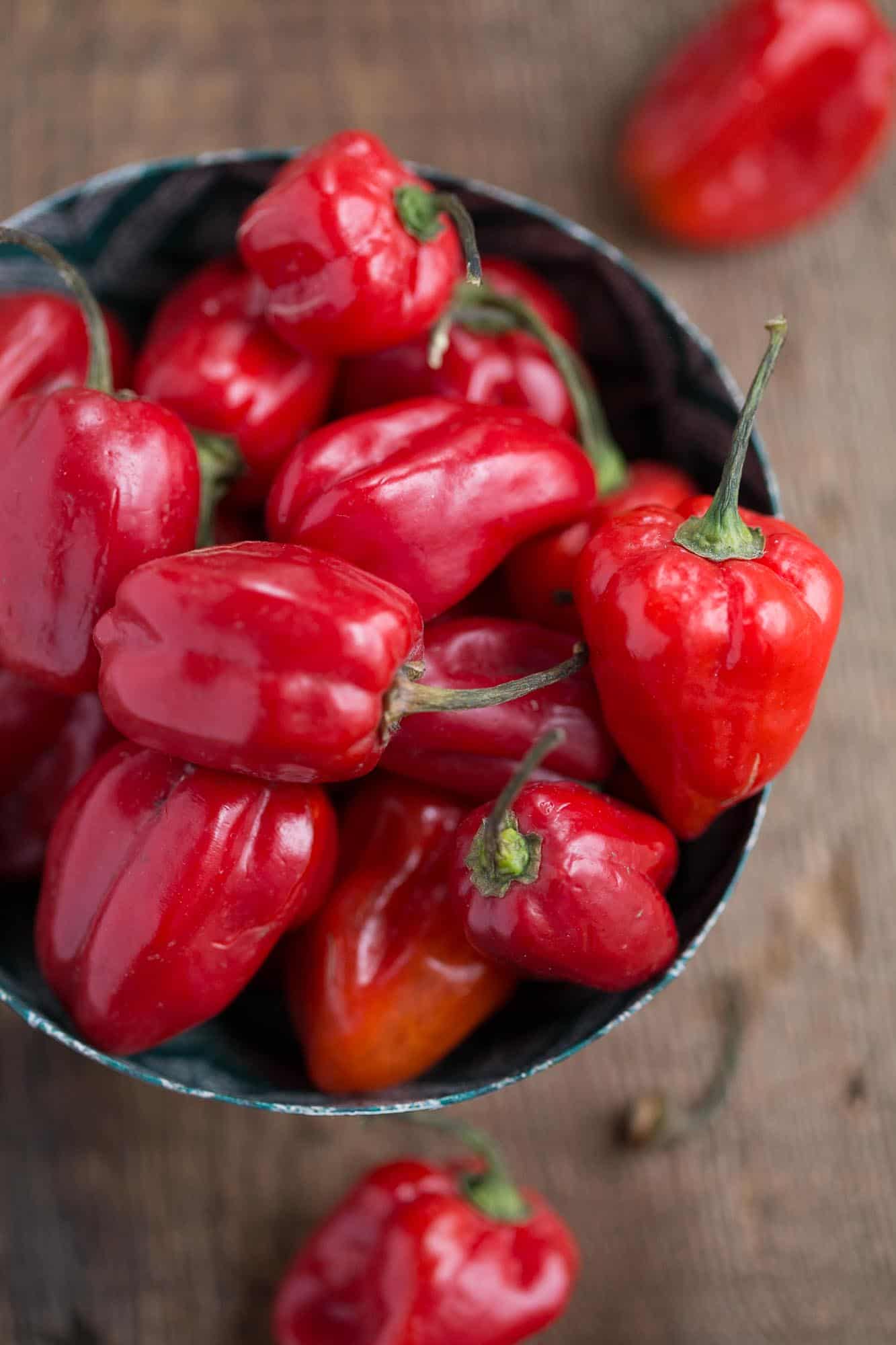 Pili Pili Recipe (African Hot Sauce) Gift of Hospitality