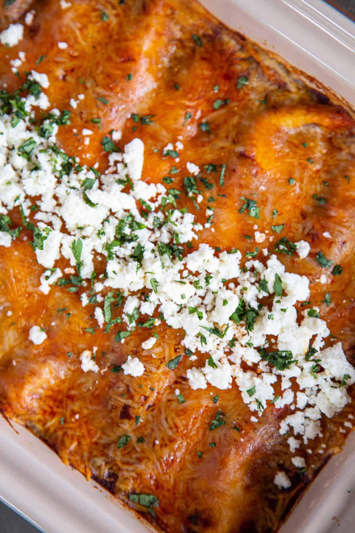 cheesy chicken enchiladas in a casserole dish topped with queso fresco and chopped cilantro.