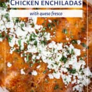 enchiladas topped with queso fresco and cilantro in a casserole dish.