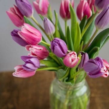 pink and purple tulips in a glass jar on a wooden table.