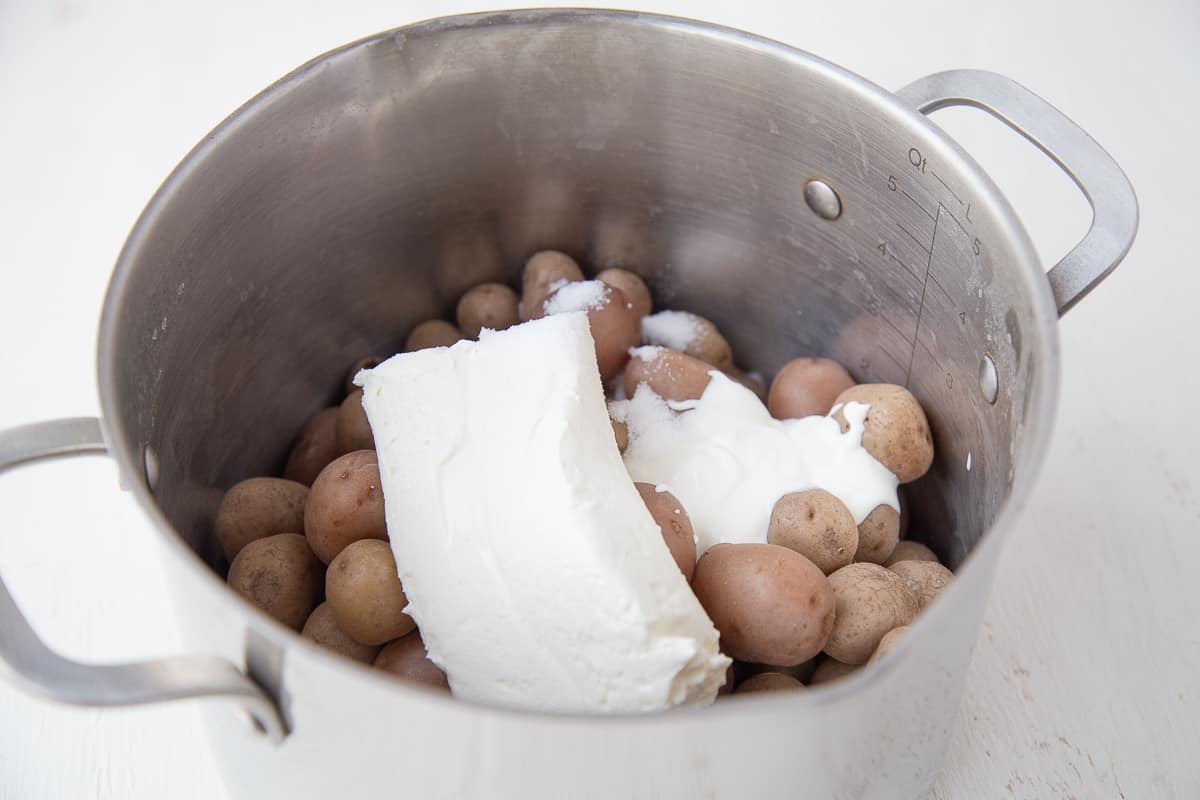 potatoes, cream cheese, sour cream, and salt in a large stockpot.