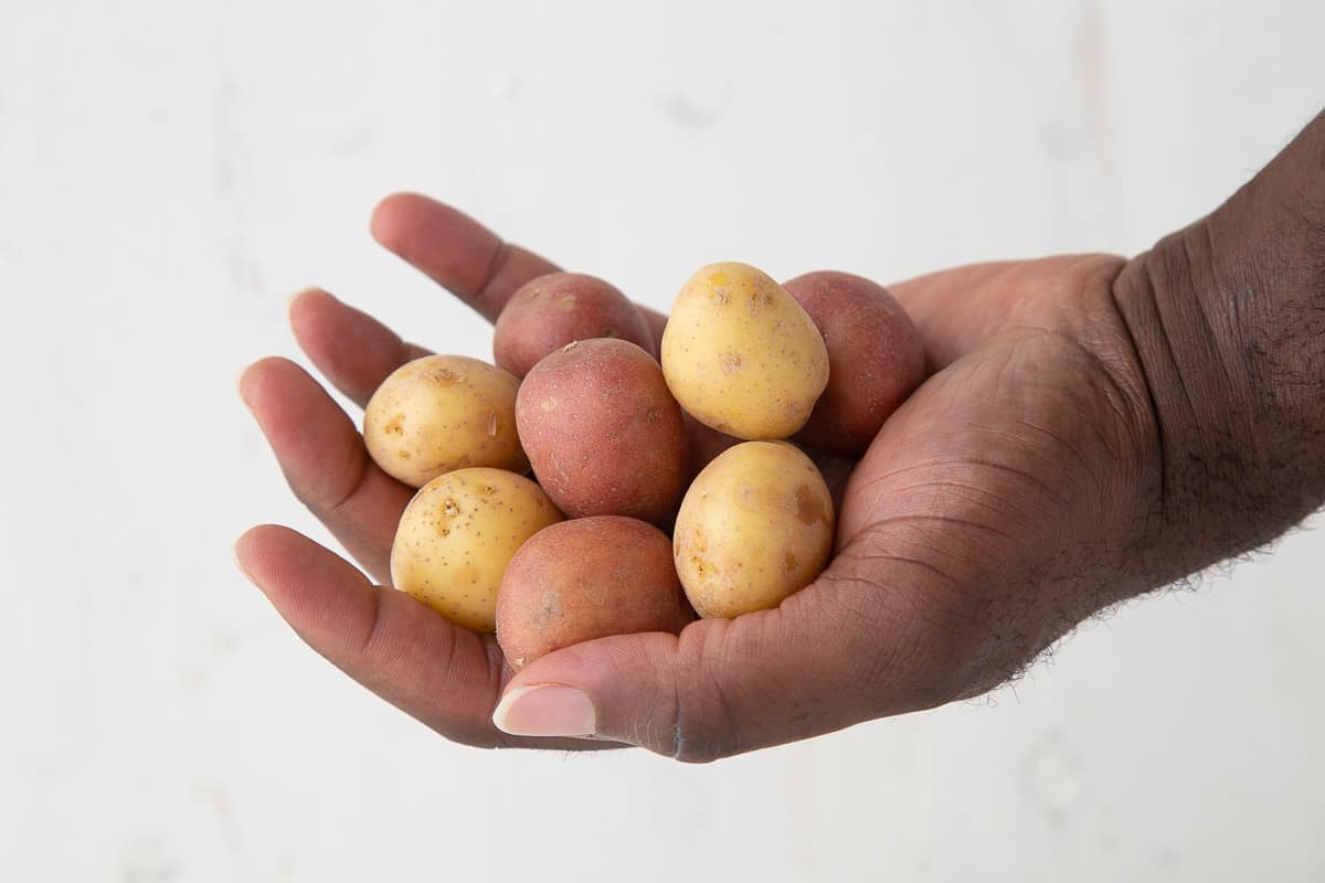 hand holding small yellow and red potatoes.