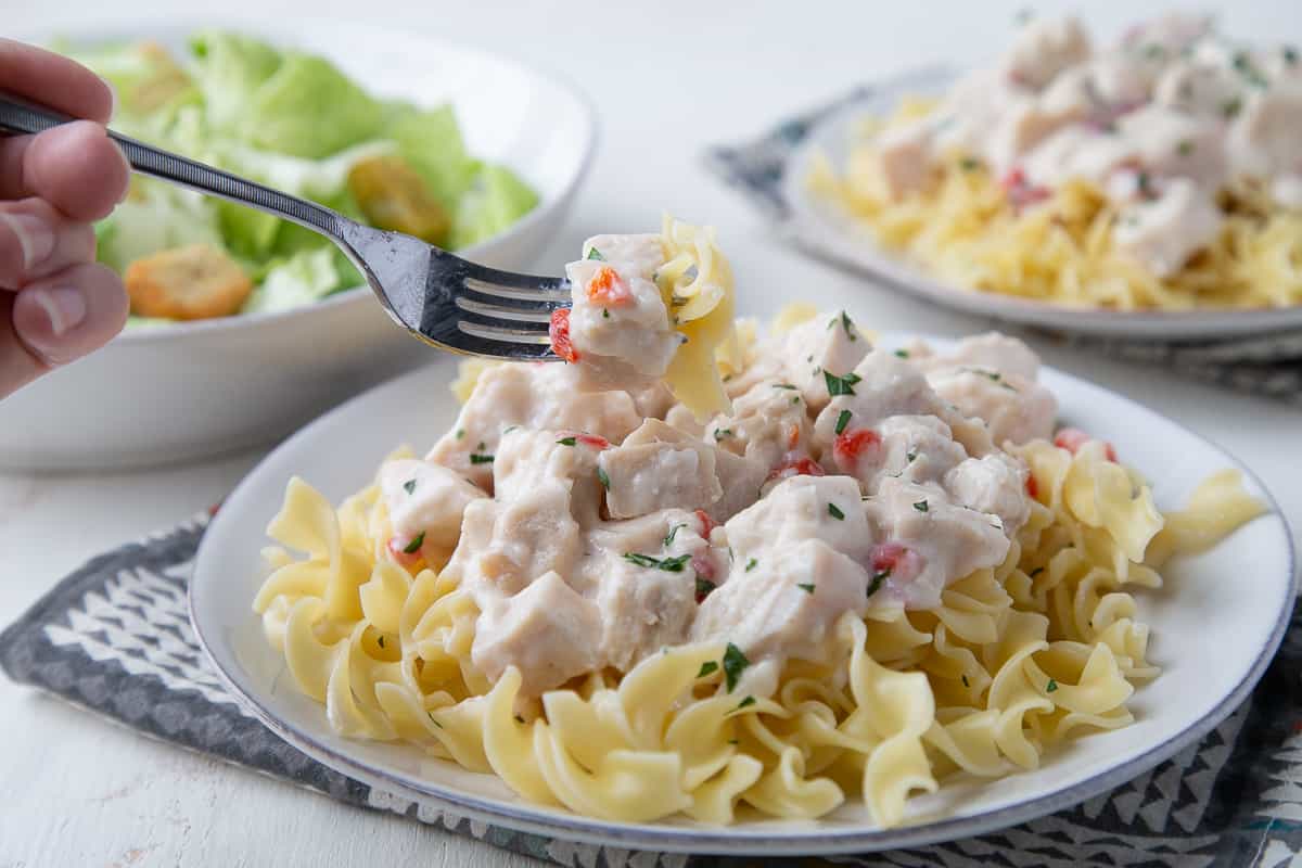 fork lifting up a piece of a creamy turkey mixture sitting atop egg noodles.