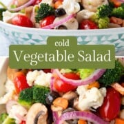 a variety of small chopped veggies in a vinaigrette.