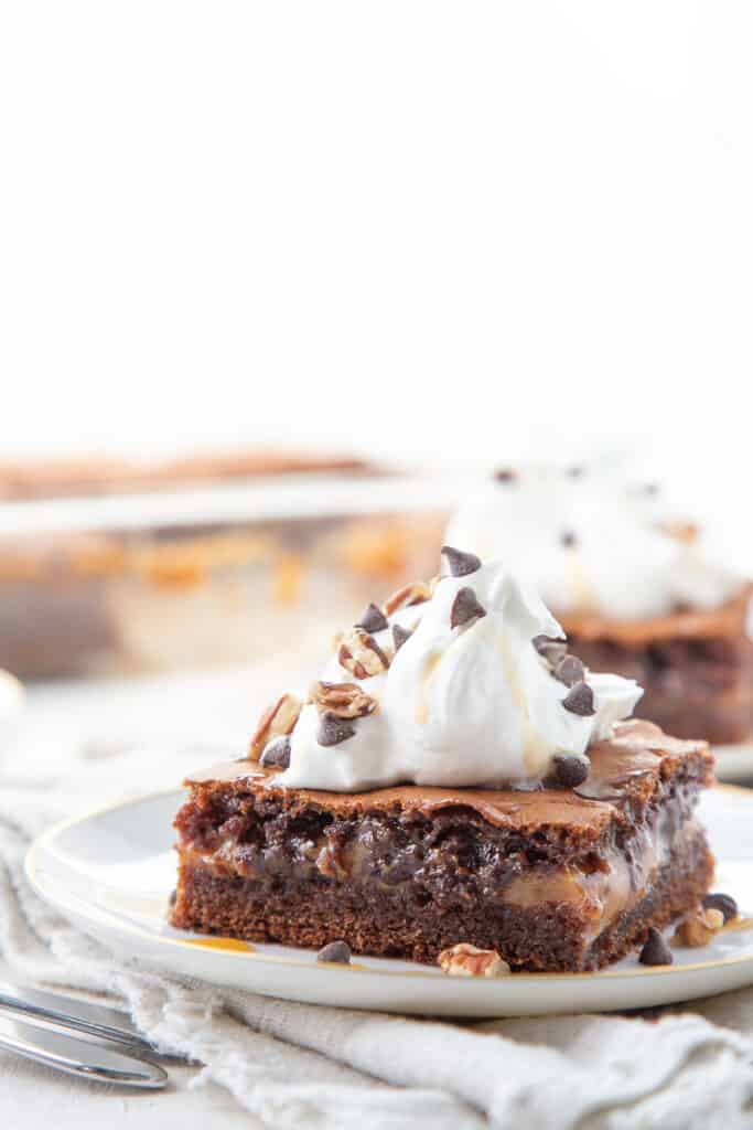 slice of turtle cake topped with whipped cream.