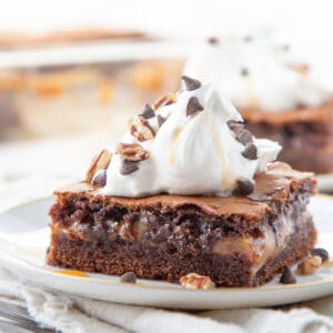 turtle cake slice topped with whipped cream on a white plate.