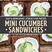 squares of pumpernickel bread topped with a layer of cream cheese, a slice of cucumber, and a sprig of dill.