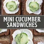 squares of pumpernickel bread topped with a layer of cream cheese, a slice of cucumber, and a sprig of dill.