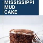 slice of Mississippi Mud Cake with a bite taken out on a white plate.
