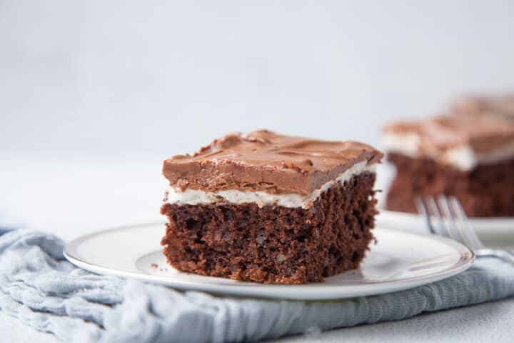 slice of mississippi mud cake on a white plate.