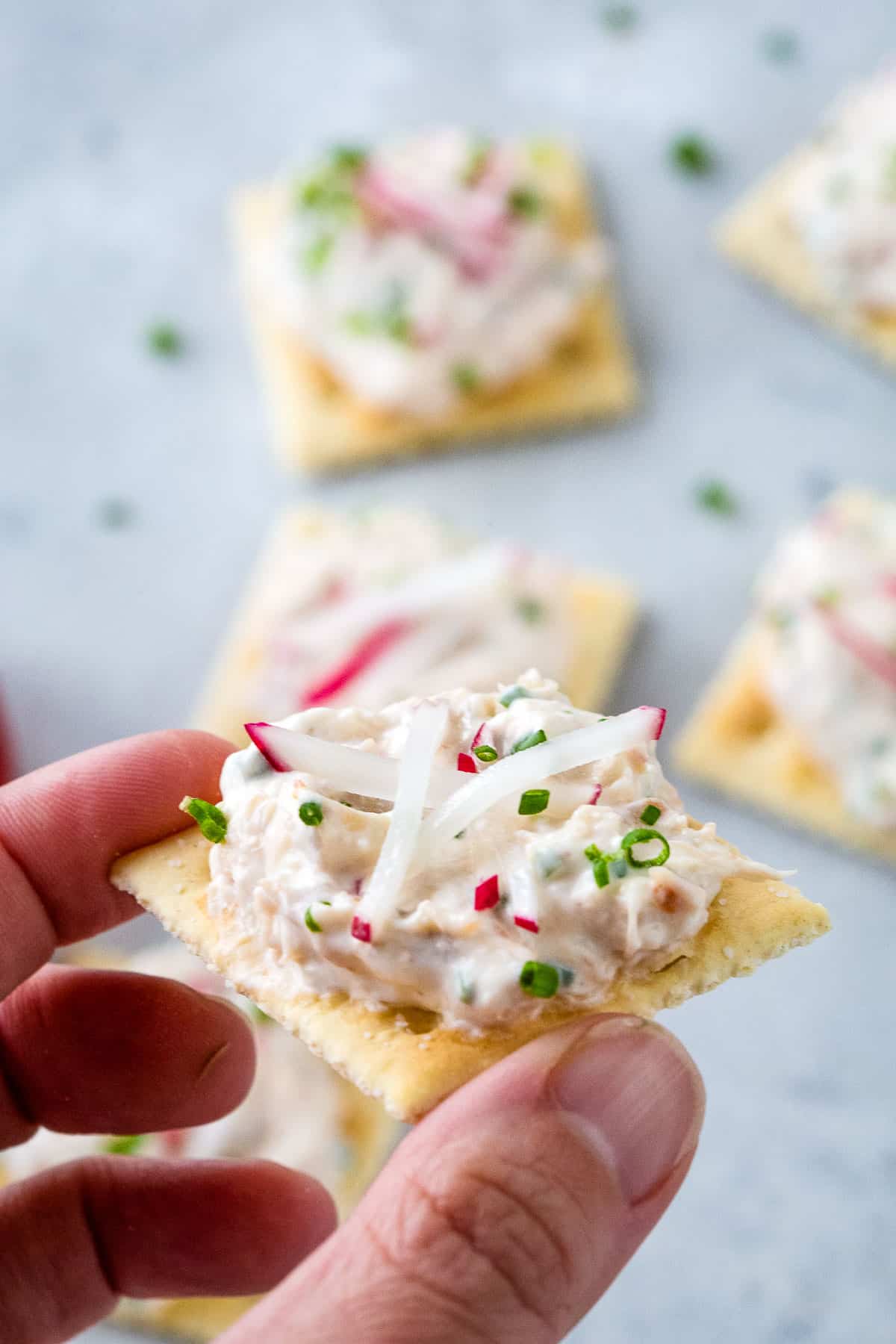 hand holding a saltine topped with cold crab dip.