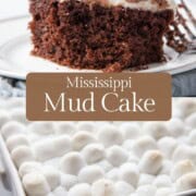 slice of chocolate cake with a marshmallow layer.