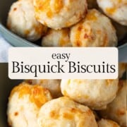 small round biscuits with shredded cheddar inside in a green bowl.