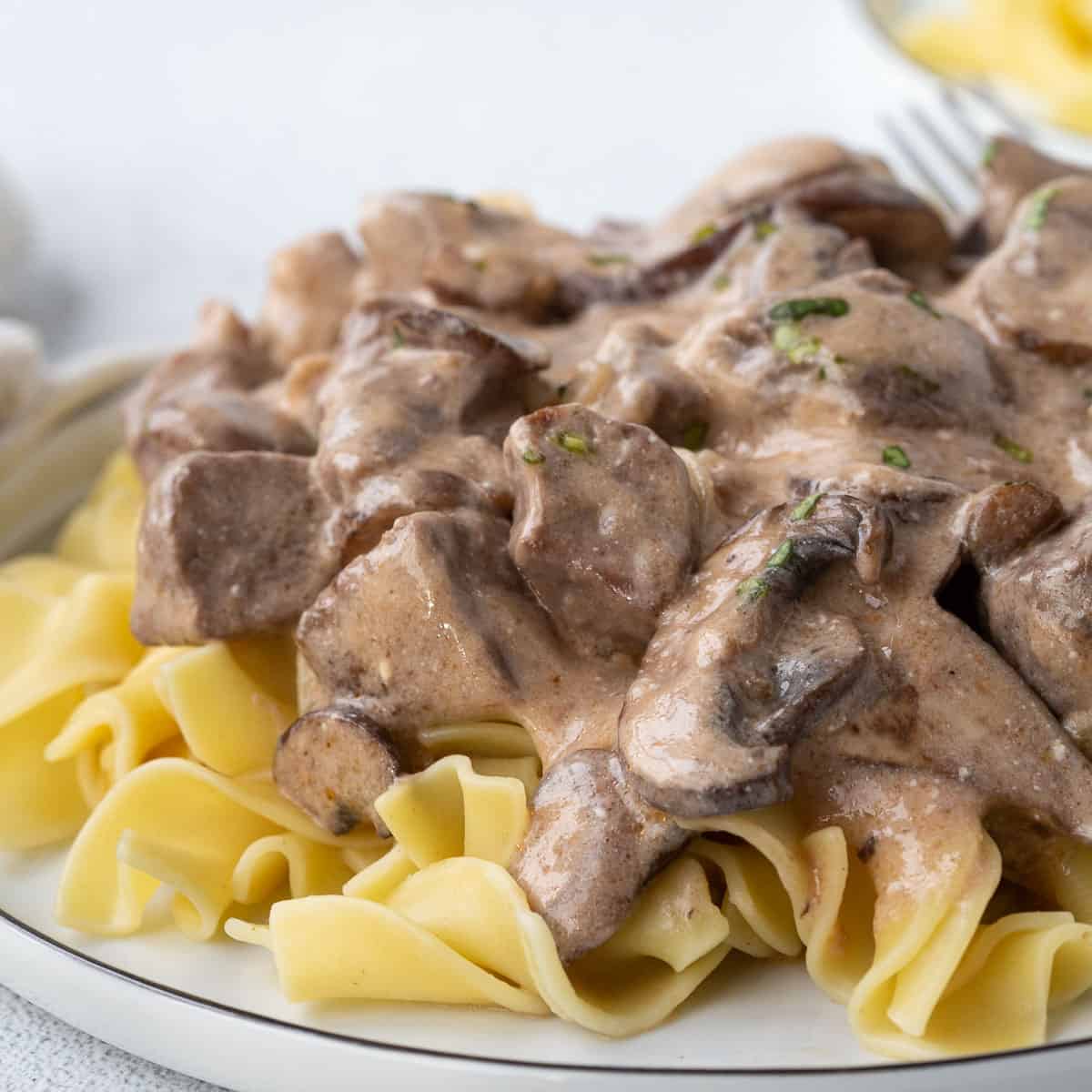 cream of mushroom beef stroganoff with mushrooms on a bed of egg noodles on a white plate.