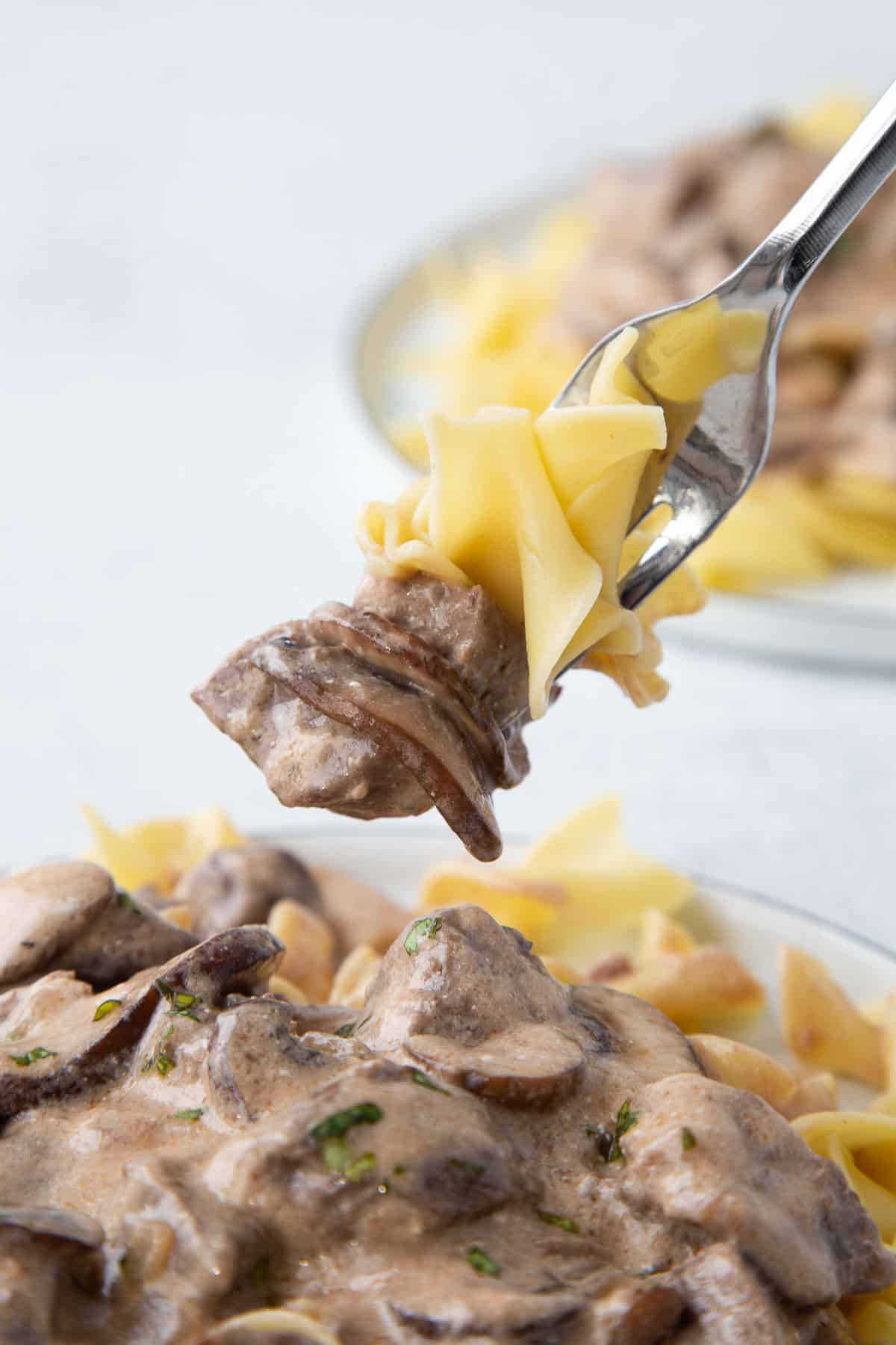 fork holding egg noodles and beef stroganoff over a plateful of stroganoff.