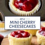 mini cherry cheesecakes both in a muffin tin and on a wooden board.