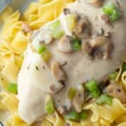 chicken breast topped with mushrooms and green peppers in a creamy mushroom sauce, on top of egg noodles.