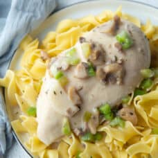 chicken breast topped with mushrooms and green peppers in a creamy mushroom sauce, on top of egg noodles.