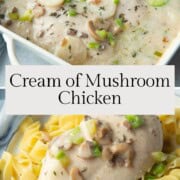chicken breasts in a cream of mushroom soup sauce.