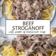 beef stroganoff over a bed of egg noodles.