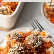 porcupine meatballs in tomato soup on top of rice.