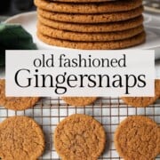 gingersnaps on a cooling rack.