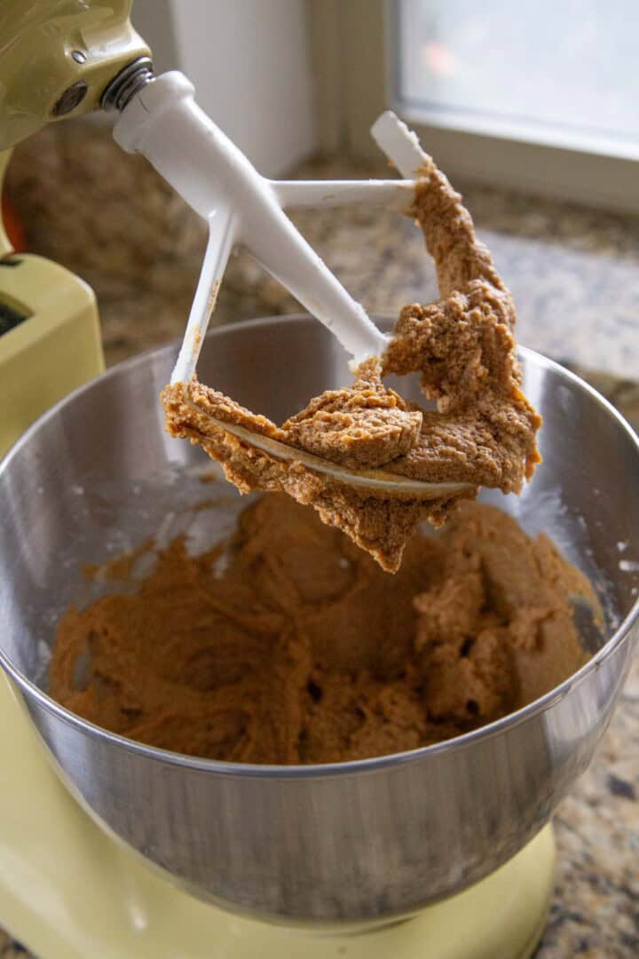 Butter, sugar, egg, and molasses in a stand mixer.