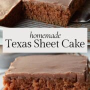 slices of chocolate texas sheet cake.