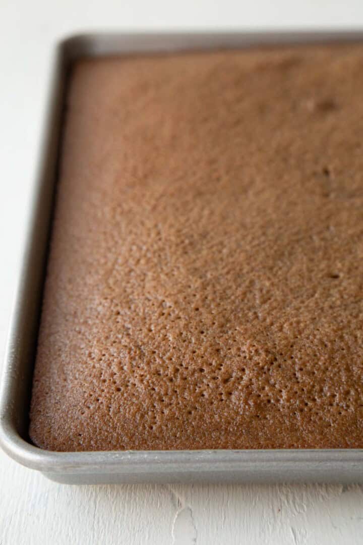 baked chocolate sheet cake in a pan.