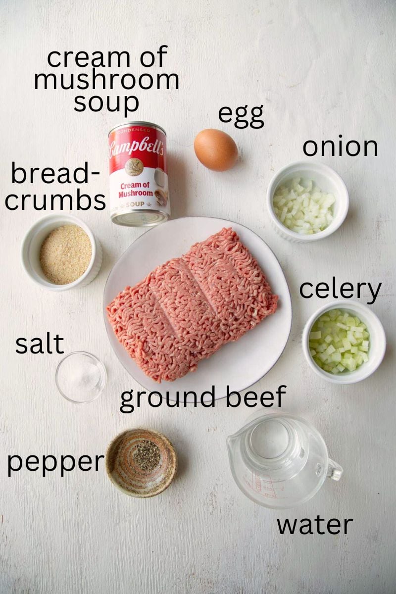 ground beef, cream of mushroom soup, and other ingredients.
