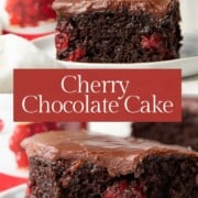 slice of chocolate cake with cherry pie filling inside.