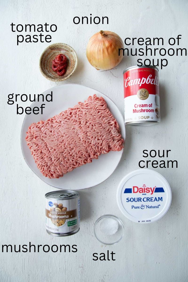 ground beef, sour cream, cream of mushroom soup, and other ingredients.