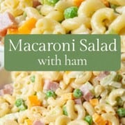 creamy macaroni salad with ham.