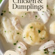 pieces of chicken and fluffy dumplings in broth.