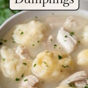 pieces of chicken and fluffy dumplings in a thick broth in a white bowl.