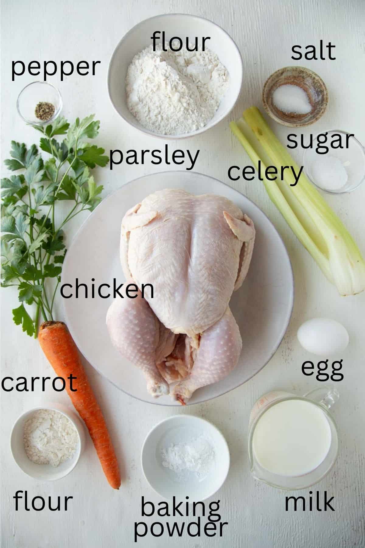 chicken, carrot, celery, parsley, flour, and other ingredients for chicken and dumplings.