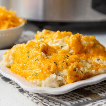 chicken and rice topped with melted cheddar cheese on a white plate.