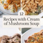 chicken casserole, pork chops, stroganoff, and green beans in cream of mushroom soup sauce.