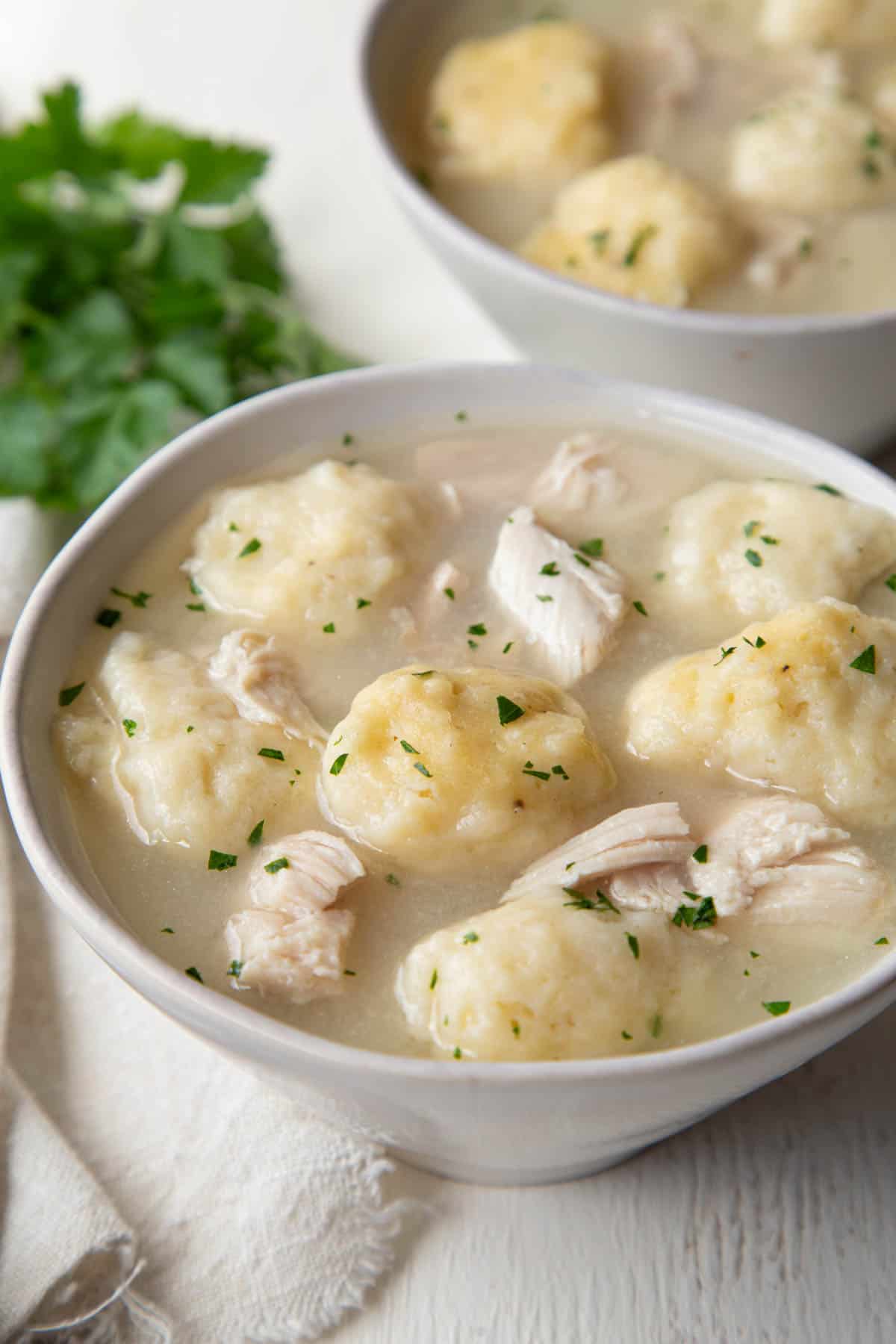 pieces of chicken and fluffy dumplings in a thick broth in a bowl.