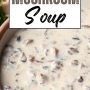 bowl of creamy soup with mushroom pieces.