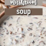 bowl filled with a creamy mushroom soup.