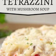 slice of turkey tetrazzini with spaghetti, turkey pieces, and chopped pimentos in a creamy sauce, topped with melted cheese.