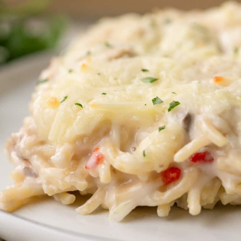 slice of turkey tetrazzini with spaghetti, turkey pieces, and chopped pimentos in a creamy sauce, topped with melted cheese.