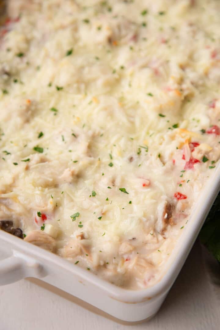 melted cheese on top of a cream pasta and turkey mixture in a casserole dish.