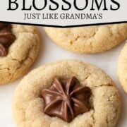 peanut butter cookie topped with a chocolate star center.