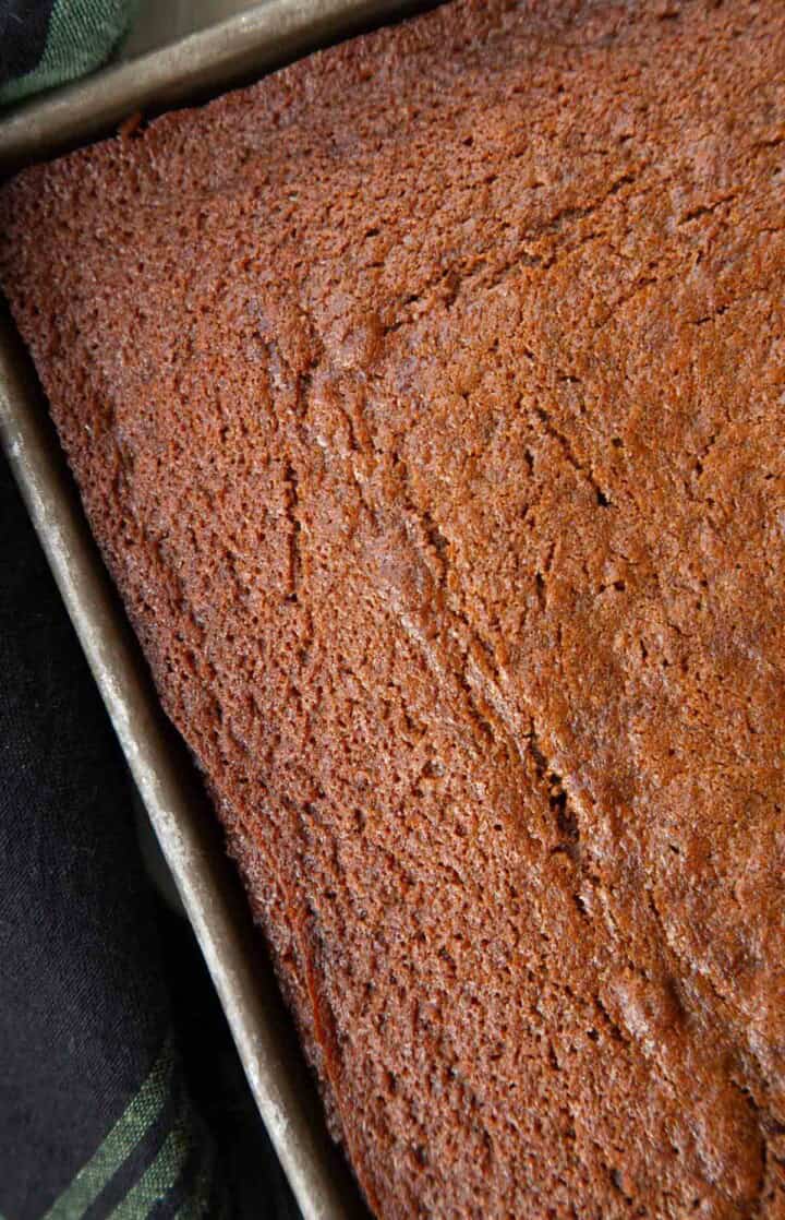 deep brown gingerbread cake baked in a metal pan.